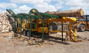 Logging Christchurch