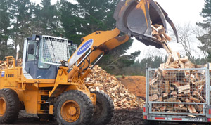 Logging Christchurch