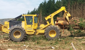 Logging Christchurch