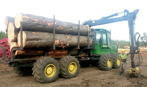 Firewood Services